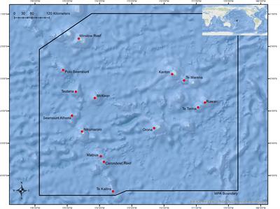 Oceanographic Drivers of Deep-Sea Coral Species Distribution and Community Assembly on Seamounts, Islands, Atolls, and Reefs Within the Phoenix Islands Protected Area